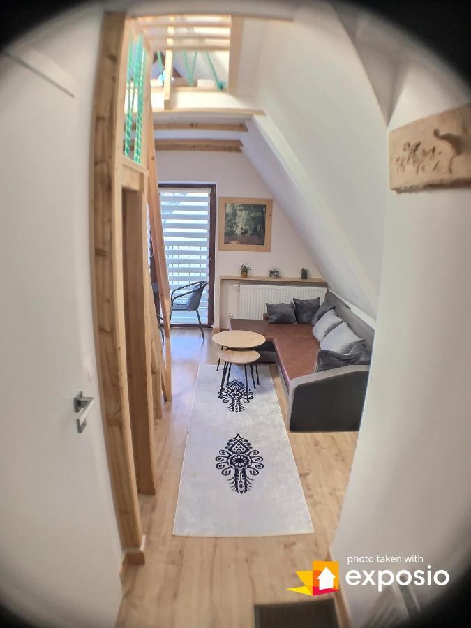 Ski Tour Apartments Zakopane Eksteriør bilde